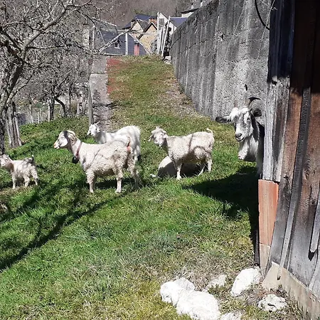 Andourra Au Coeur De La Nature Σπίτι διακοπών